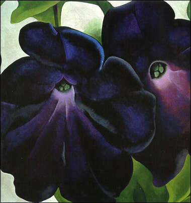 Black and Purple Petunias by Georgia O'Keeffe