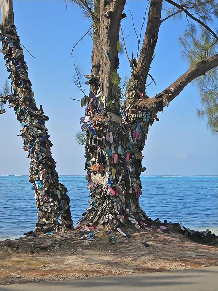 shoe-tree